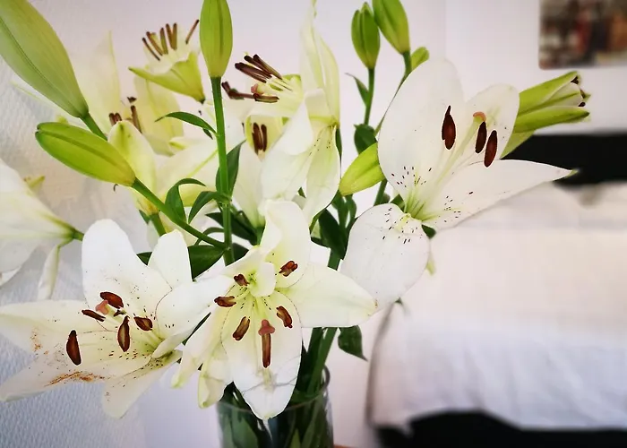 Mandarina Luxembourg