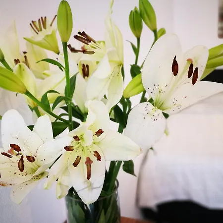 Mandarina Luxembourg